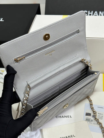 STRASS WOC ENTRUPY BAG 19 IN SPANISH GREY CALFSKIN GOLD HARDWARE