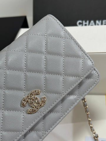 STRASS WOC ENTRUPY BAG 19 IN SPANISH GREY CALFSKIN GOLD HARDWARE