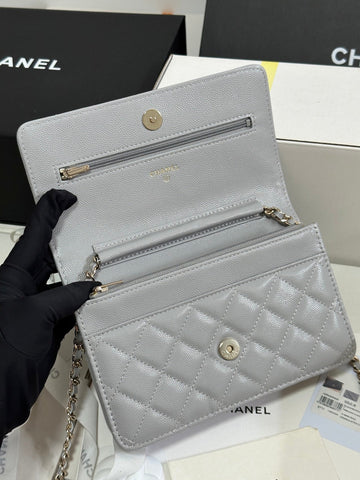 STRASS WOC ENTRUPY BAG 19 IN SPANISH GREY CALFSKIN GOLD HARDWARE